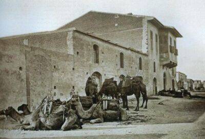 Машина времени: полтора века назад набережная Лимассола была тропой для верблюжьих караванов - cyprusnews.online - Кипр - Лимассол