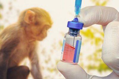 В понедельник на Кипр доставят первую дозу вакцин от оспы обезьян - cyprusbutterfly.com.cy - Кипр - Никосия - Австралия