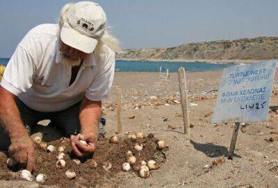 В 2021 году на западном побережье Кипра было более 2000 черепашьих гнезд - cyprusnews.online - Кипр