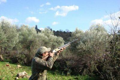 На Кипре начинается сезон охоты на вяхирей - cyprusbutterfly.com.cy - Кипр
