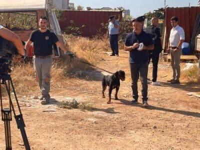 Иоаннис Агиос - Бездомная собака напала на ребенка в Лимассоле - rumedia24.com - Кипр - Никосия