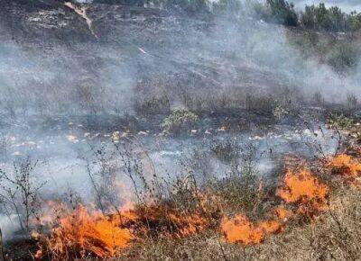 Национальная гвардия случайно поджигла пятьдесят гектаров земли - kiprinform.com