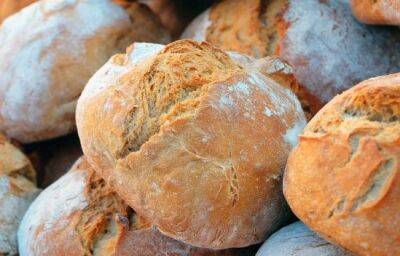 Хлеб на Кипре подорожал сильнее, чем в ЕС - vkcyprus.com - Кипр - Евросоюз - Голландия - Словакия - Литва - Эстония - Мальта - Люксембург - Франция - Финляндия - Венгрия