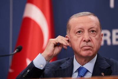 Тайип Эрдоган - Турция вызвала посла Германии после того, как политик сравнил Эрдогана с «канализационной крысой» - kiprinform.com - Турция - Анкара - Евросоюз - Германия