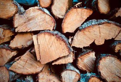 Сколько стоят дрова на Кипре? 15-20 евро за кубометр, если вы рубите/пилите сами с разрешения лесного департамента - cyprusnews.online - Кипр - Греция