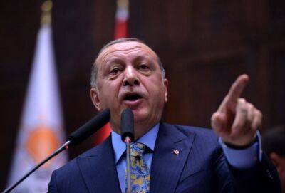 Реджеп Тайип Эрдоган - Эрдоган пригрозил Греции маршем «бешеных турок» - russiancyprus.news - Кипр - Турция - Греция - Президент