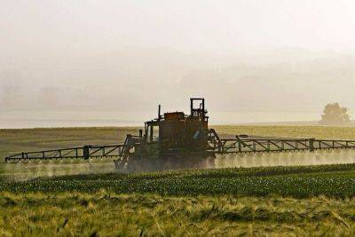 15 тысяч человек на Кипре работает в сельскохозяйственном секторе - cyprusbutterfly.com.cy - Кипр - Евросоюз