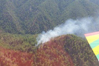 Александру Хараламбос - Департамент лесного хозяйства обвинил управление электроэнергетики в летних пожарах на Кипре - cyprusbutterfly.com.cy - Кипр