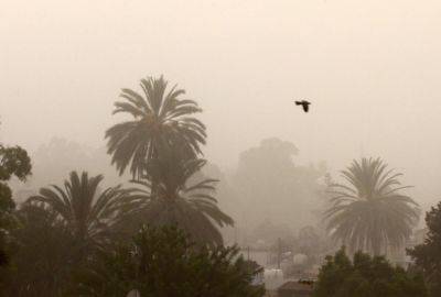 Чем был вызван «красный» уровень пылевого загрязнения на Кипре 26 ноября? Ответ мы получим из Афин - evropakipr.com - Кипр - Никосия - Израиль - Афины - деревня Зиги