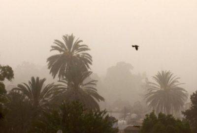 Чем был вызван «красный» уровень пылевого загрязнения на Кипре 26 ноября? Ответ мы получим из Афин - russiancyprus.news - Кипр - Никосия - Израиль - деревня Зиги