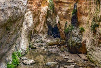 Внимание! Ущелье Авакас в Национальном лесном парке Акамас закрыли для посещений - cyprusbutterfly.com.cy - Кипр