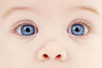 На Кипре появится цифровой прибор для визуализации глаз младенцев - cyprusbutterfly.com.cy - Кипр - Никосия