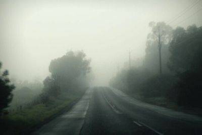 Внимание! Дороги в районе Пафоса заволокло туманом - cyprusbutterfly.com.cy
