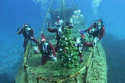Клуб Summer Divers отметил Рождество на затонувшем корабле Nemesis III у берегов Протараса - cyprusbutterfly.com.cy - Франция