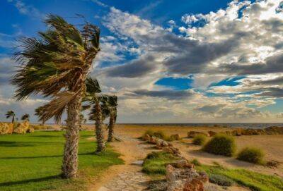 29 марта Кипр окажется во власти очень сильного ветра. Как к нему подготовиться? - russiancyprus.news - Кипр