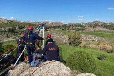 В Лефкаре пожарные спасли женщину и двух псов из 15-метрового оврага - cyprusbutterfly.com.cy - Кипр