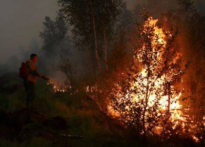 Департамент лесного хозяйства объявил пожарную тревогу - kiprinform.com