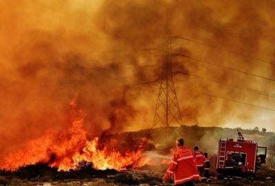22 мая из-за сильного ветра на Кипре высок риск возникновения пожаров - russiancyprus.news - Кипр