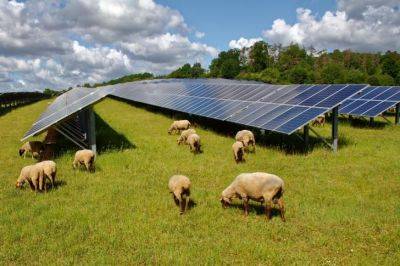 Тревожные звоночки по поводу предоставления высокопродуктивных сельскохозяйственных земель инвесторам в области возобновляемых источников энергии - kiprinform.com