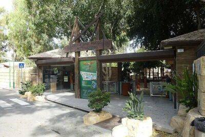 Никос Николаидес - Муниципалитет Лимассола решил разобраться с муниципальным зоопарком - cyprusbutterfly.com.cy - Кипр - Лимассол