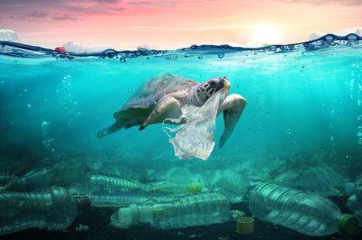 Петрос Ксенофонтос - Загрязнение пластиком угрожает морской жизни Кипра - kiprinform.com - Кипр