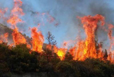 К северу от Лимассола вновь вспыхнул пожар - evropakipr.com - Кипр - деревня Аласс
