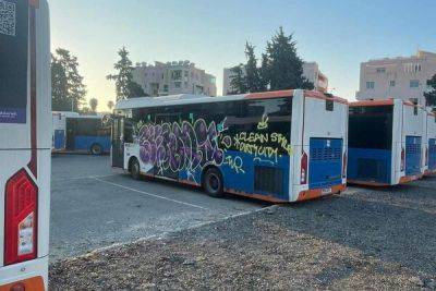 В Лимассоле арт-вандалы изрисовали парк абсолютно новых автобусов - cyprusbutterfly.com.cy