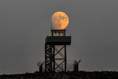 Редкая «голубая луна» осветила небо Кипра - cyprusbutterfly.com.cy - Кипр