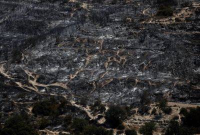 Кипр - Limassol district fire has burned 7.5-10 square kilometres of land - cyprus-daily.news - Cyprus