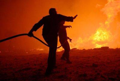 В Дали сгорели 1500 тюков сена. С расположенной рядом фермы пришлось вывести 400 коров - russiancyprus.news - Кипр - Никосия