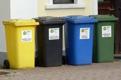 Муниципалитет Лимассола субсидирует покупку мусорных баков жителям города - cyprusbutterfly.com.cy