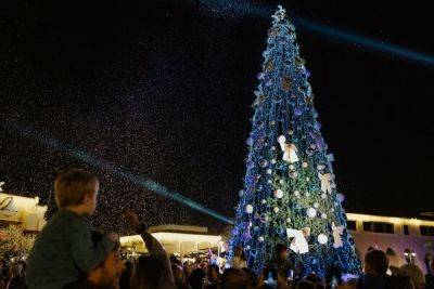 Яннис Армефтис - Марина Лимассола - Не пропустите! 23 ноября в Limassol Marina зажгут рождественскую елку - cyprusbutterfly.com.cy