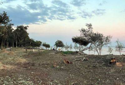 Лесной департамент Кипра: пострадавшие от торнадо парки и леса будут засажены новыми деревьями - evropakipr.com - Кипр - Лимассол
