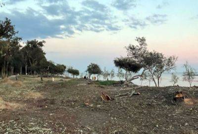 Лесной департамент Кипра: пострадавшие от торнадо парки и леса будут засажены новыми деревьями - russiancyprus.news - Кипр - Лимассол