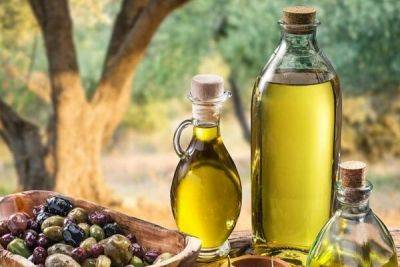 На Кипре значительно подорожало оливковое масло - cyprusbutterfly.com.cy - Кипр