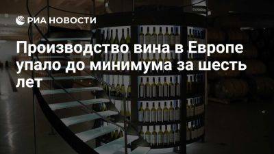 Россия стала одной из стран, где выпуск вина вырос до максимума с 2016 года - ria.ru - Кипр - Россия - Москва - Швейцария - Италия - Португалия - Словакия - Словения - Мальта - Германия - Греция - Хорватия - Люксембург - Румыния - Болгария - Франция - Испания - Чехия - Австрия - Молдавия - Венгрия