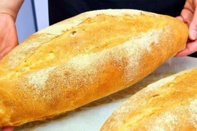 На северном Кипре вырастет цена на хлеб - cyprusbutterfly.com.cy - Кипр
