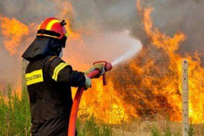 На Кипре ужесточат наказания за пожары - cyprusbutterfly.com.cy - Кипр