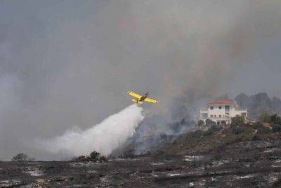 Мария Панайоту - Кипр остался без пожарной авиации - cyprusbutterfly.com.cy - Кипр - Израиль