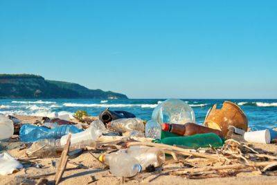 Кипрские активисты собрали на местных пляжах 150 килограммов мусора - cyprusbutterfly.com.cy - Кипр - Президент