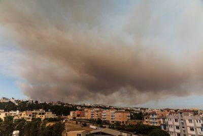 Израиль, Греция и Иордания помогали в тушении пожара в Пафосе - kiprinform.com - Кипр - Израиль - Иордания - Греция - Президент