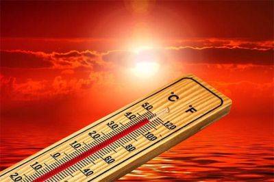 На Кипре введено красное предупреждение из-за сильнейшей жары! - rumedia24.com - Кипр
