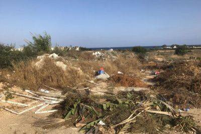 Мария Панайоту - ﻿Пляж Лиопетри превратился в свалку для мусора - cyprusbutterfly.com.cy - Кипр