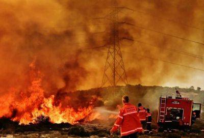 На Кипре введен «красный» уровень пожарной опасности - russiancyprus.news - Кипр