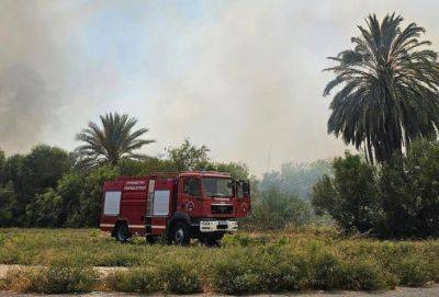 В Ларнаке вспыхнул пожар близ соляного озера Алики - russiancyprus.news - Кипр