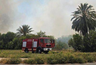 В Ларнаке вспыхнул пожар близ соляного озера Алики - evropakipr.com - Кипр
