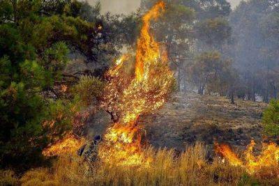 На Кипре объявлен красный уровень пожарной опасности - cyprusbutterfly.com.cy - Кипр - район Ларнаки