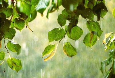Метеослужба ввела на 3,5 часа «желтый» уровень погодной опасности. Из-за возможных гроз в горах и внутренних районах острова - evropakipr.com - Кипр - Никосия