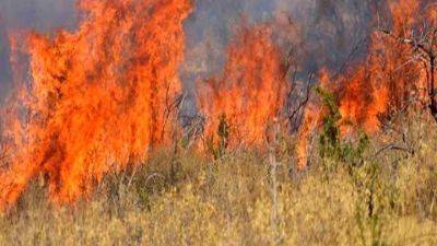 Пожар в Фасури частично локализован - kiprinform.com - Кипр