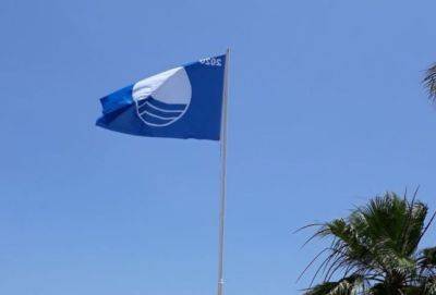 Яннис Армефтис - Разгневанные купальщики спустили «Голубой флаг» на пляже в центре Лимассола - russiancyprus.news - Кипр